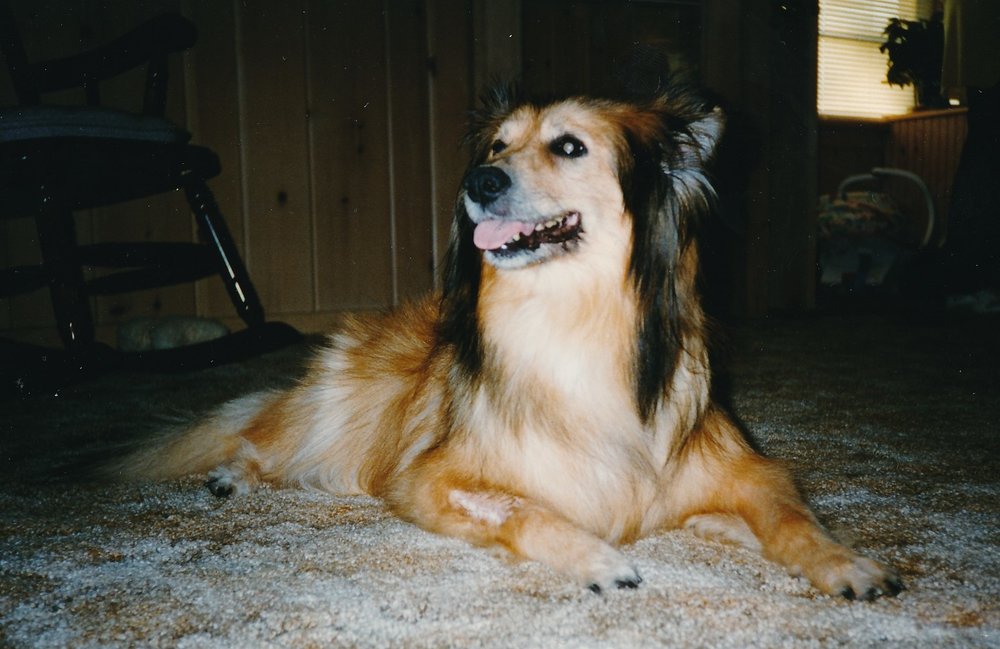 Fern "Yvonne" Martin